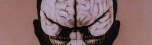 Les mystères de la formation des plis et replis de notre cerveau s'éclaircissent