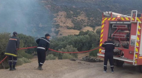 ANEF: Tous les incendies enregistrés ont été maîtrisés