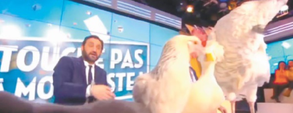 Pour la promotion du film «La Vache», Jamel Debbouze invite des animaux sur un plateau de télévision