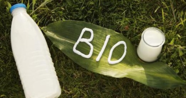 Le lait et la viande bio beaucoup plus riches en oméga-3