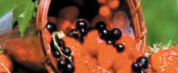 La production totale des petits fruits rouges a atteint 130.000 tonnes
