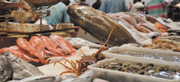 Les recettes issues du commerce du poisson au Maroc ont atteint 2MMDH