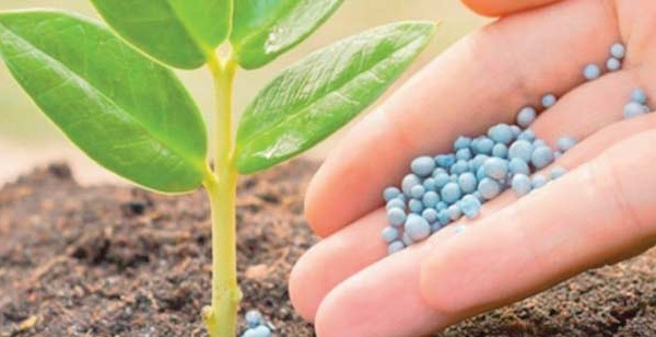 OCP Nutricrops dépasse les 5 millions de tonnes de production de TSP