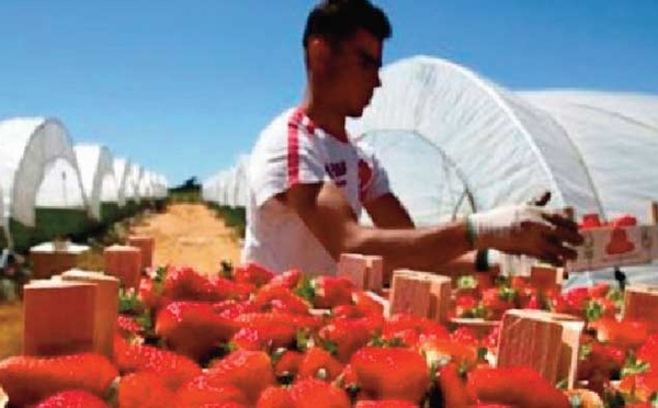 Vivement une refonte d’un modèle agricole lamentablement raté