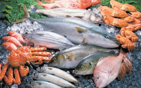 Hausse nette des produits commercialisés de la pêche côtière et artisanale