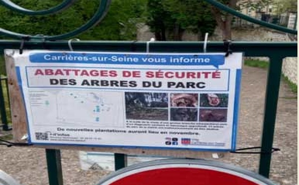 L'aménagement de la forêt Maamora à Sala Aljadida : Un rendez-vous raté