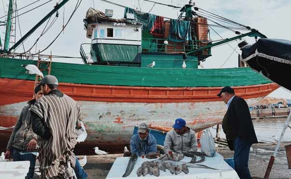 Port de Safi : Hausse de 33% des débarquements de la pêche à fin juillet