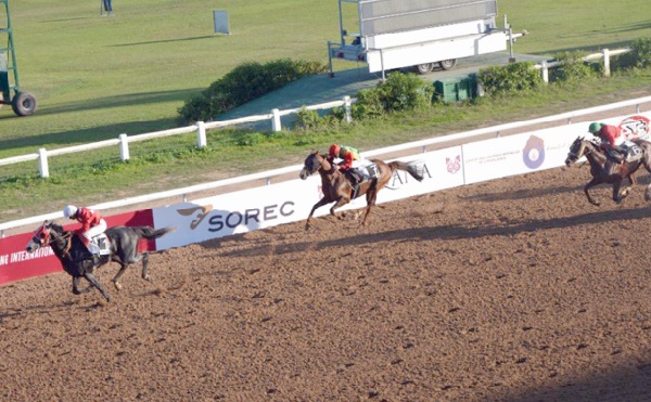 Les sociétés de courses refusent à l’unanimité le dictat de la SOREC