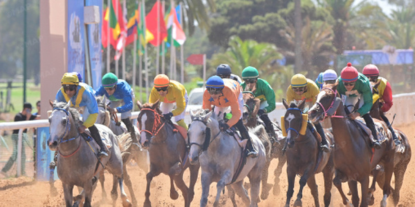 Le cheval "Casa de Campo" remporte la 4ème édition du Grand Prix d'Afrique 2025 des courses hippiques