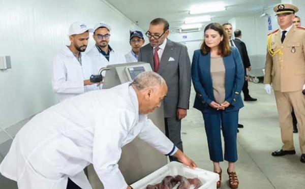 Nouveau port de pêche de Casablanca : Un levier stratégique pour promouvoir le secteur de la pêche