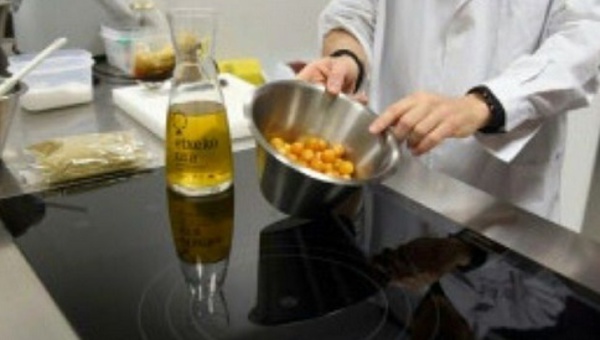 Au Pays basque espagnol, rencontres entre la haute cuisine et la science