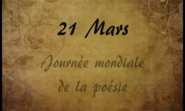 Bouillon de culture