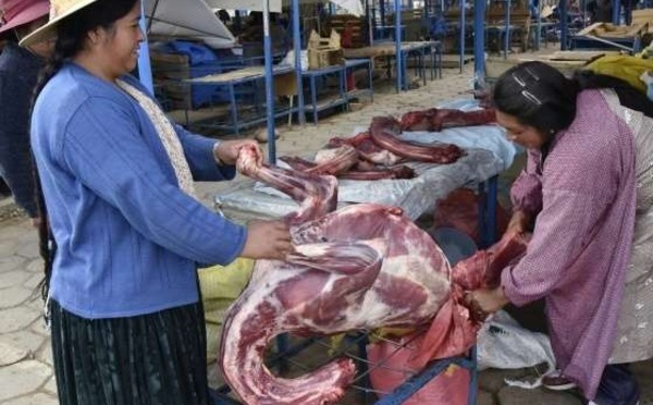 La viande de lama, pari gastronomique de la Bolivie