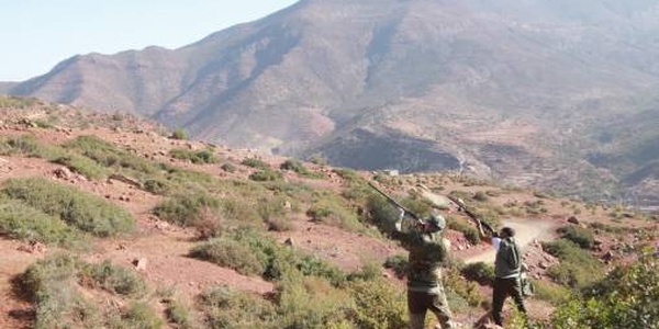 Lancement de la saison de chasse 2025-2026 au niveau de la région Marrakech-Safi