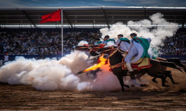 Près de 150.000 visiteurs au 16e Salon du cheval d’El Jadida