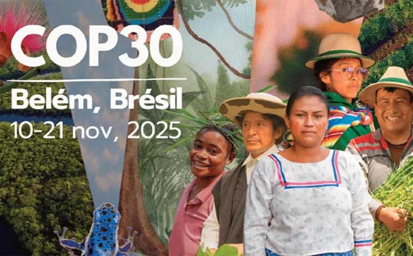 Ce que les Africains attendent de la COP30