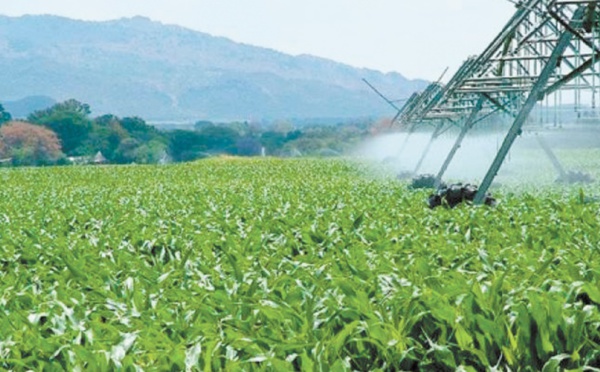 Le secteur de l’irrigation se trouve confronté à plusieurs contraintes