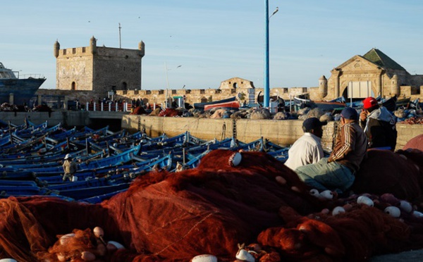 Hausse de 6% des quantités de poisson débarquées au port d'Essaouira