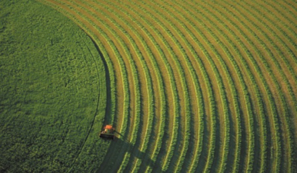 Pour une agriculture compétitive, durable et résiliente