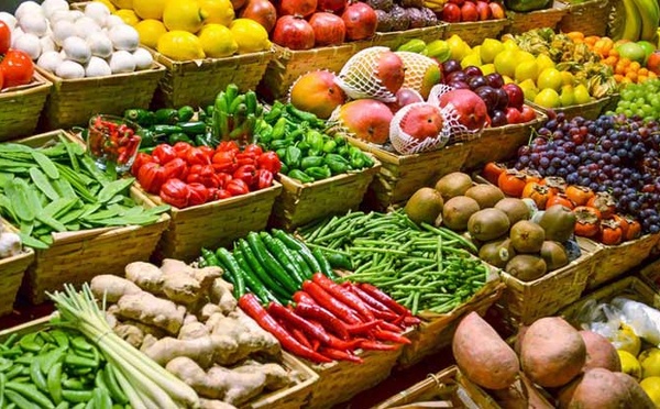 Fruits et légumes : Maroc Fruit Board lance la campagne export 2025/2026
