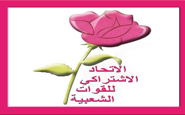 Participation de l’USFP à Malte à la réunion du Conseil de l’IS