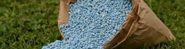 Le Maroc renforce sa présence sur le marché brésilien des engrais