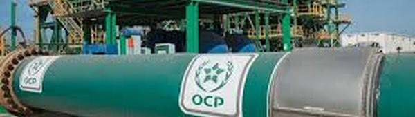 Le groupe OCP et l'ONUDI s'allient pour accélérer la transformation agricole et le développement industriel bas carbone