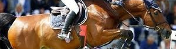 Saut d'obstacles : La 11ème édition de la Coupe du Trône 2025à Dar Es Salam