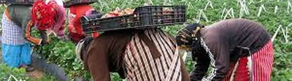 Transition agroécologique : Signature à Rabat de six conventions de partenariat pour accompagner les petites exploitations agricoles