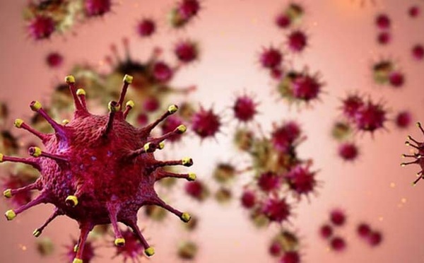 Un virus familier, une dynamique nouvelle