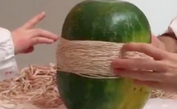 Insolite : Explosion d'une pastèque