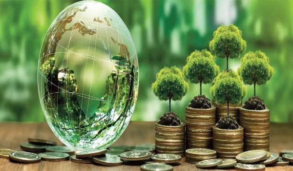 Comment la transition verte peut soutenir le développement de l'Afrique