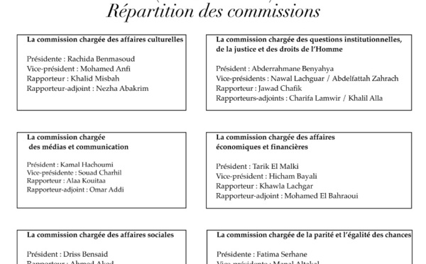 Structuration de la Commission nationale des élections