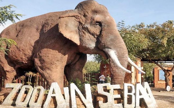 Le parc zoologique d’Aïn Sebaâ rouvre ses portes après un vaste réaménagement