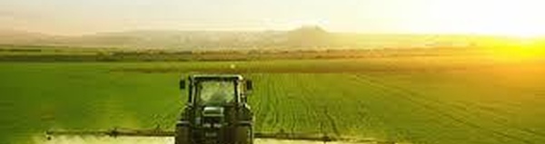 Settat : Les récentes précipitations de bon augure pour l’agriculture et les nappes phréatiques