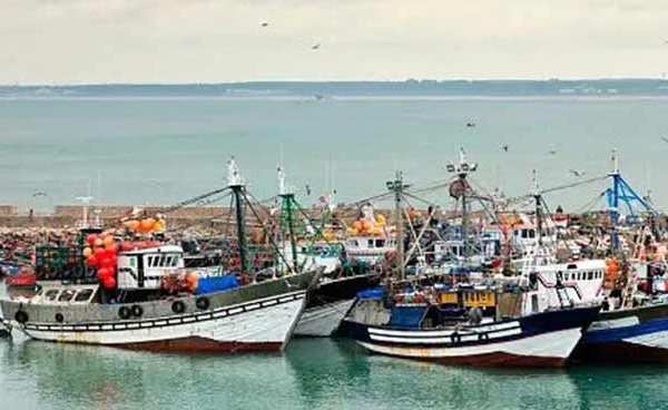 Port de Laâyoune : Bon déroulement de la saison d'hiver de la pêche au poulpe