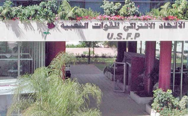 Pourquoi le recours à la Cour constitutionnelle dérange-t-il autant certaines âmes chagrines ?