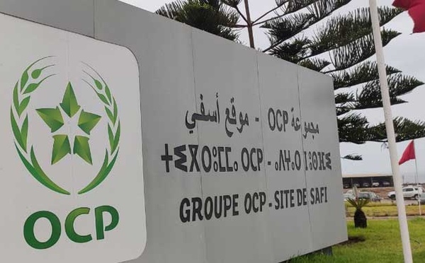 L’AIEA et le groupe OCP unissent leurs efforts pour des systèmes alimentaires résilients