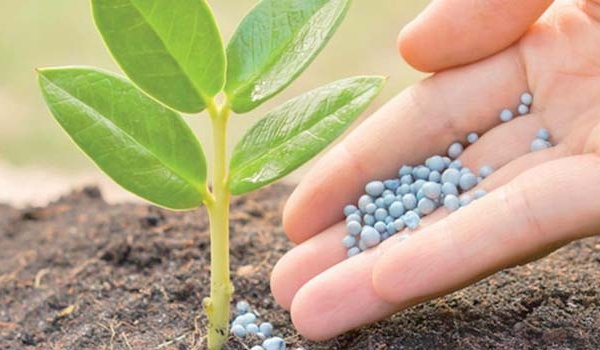 A Nairobi, OCP Africa présente ses initiatives innovantes pour renforcer la sécurité alimentaire sur le continent