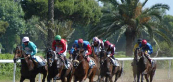 ​GP Mohammed V  des courses hippiques