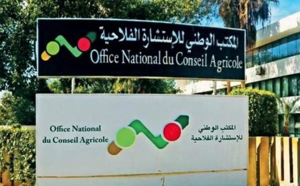 La Direction régionale du conseil agricole de Souss-Massa participe à la 13ème édition du Festival de l'Amandier à Tafraout