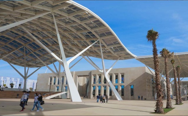 Startups : L’UM6P Africa Business School lance “The Pulse”, un hub de données sur l’écosystème startup