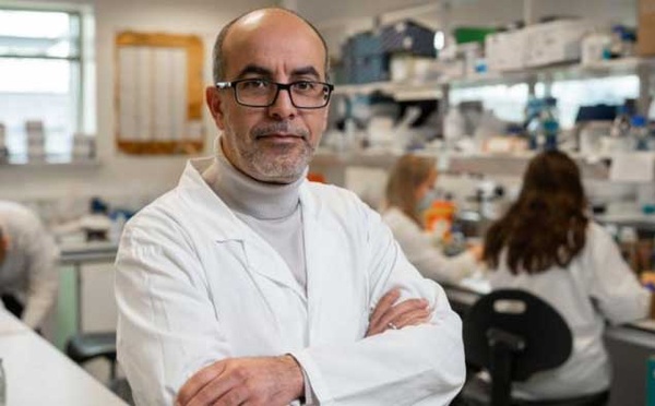 Le scientifique marocain Mimoun Azzouz récompensé pour ses avancées majeures en thérapie génique