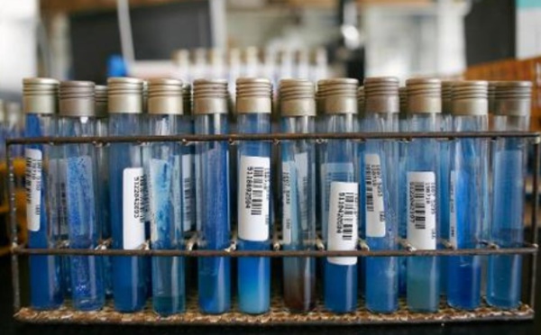 Une super-bactérie ravive les craintes de résistance microbienne