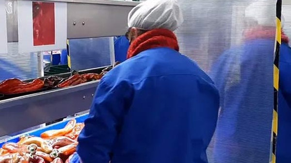 Andalousie : Participation marocaine à une rencontre commerciale dédiée à l'agroalimentaire