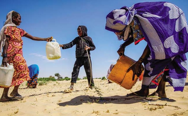 L'Afrique doit convertir ses objectifs climatiques en stratégies écologiques