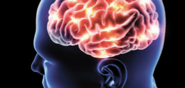 Santé : La maladie d'Alzheimer, une réaction à une infection ?