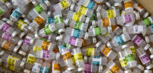 Dopage: 1278 échantillons collectés avant la compétition