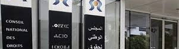Le CNDH porté à la tête d'un groupe de travail international sur l'IA