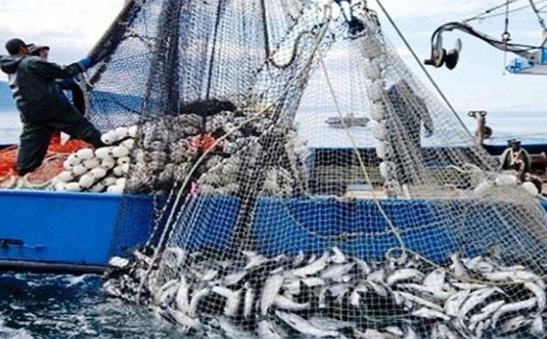 Ports situés sur la Méditerranée: Hausse de 11% des débarquements de pêche à fin avril